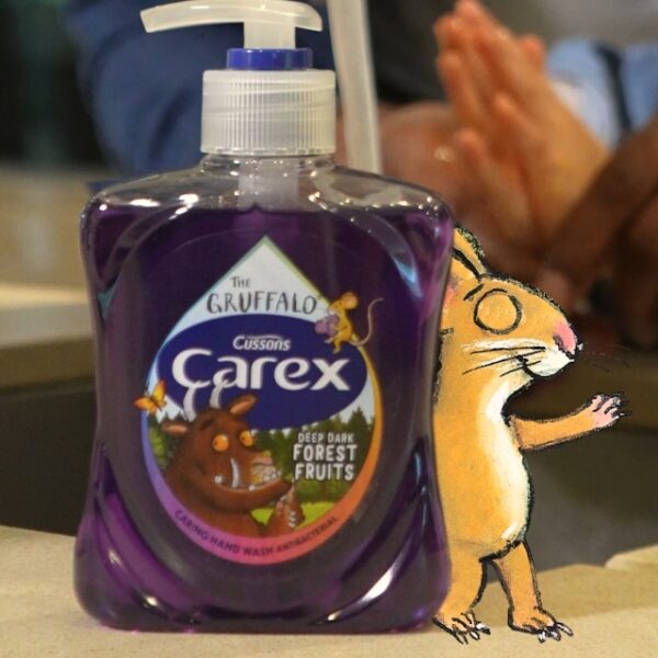 Carex Gruffalo Deep Dark Forest Fruits Hand Wash 250ml - Image 3