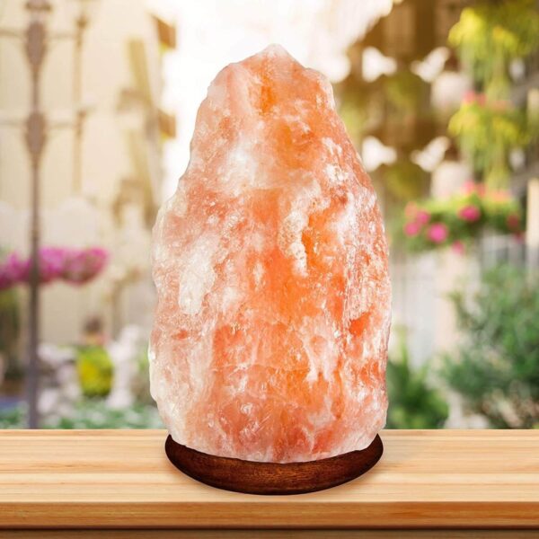 Himalayan Salt Lamp